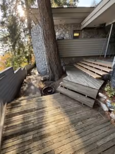 Clean Up and Inspect
