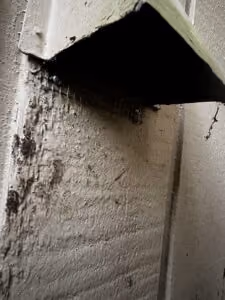 Screen vent openings.
