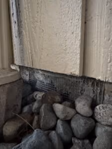 Close the siding-to-foundation gap.
