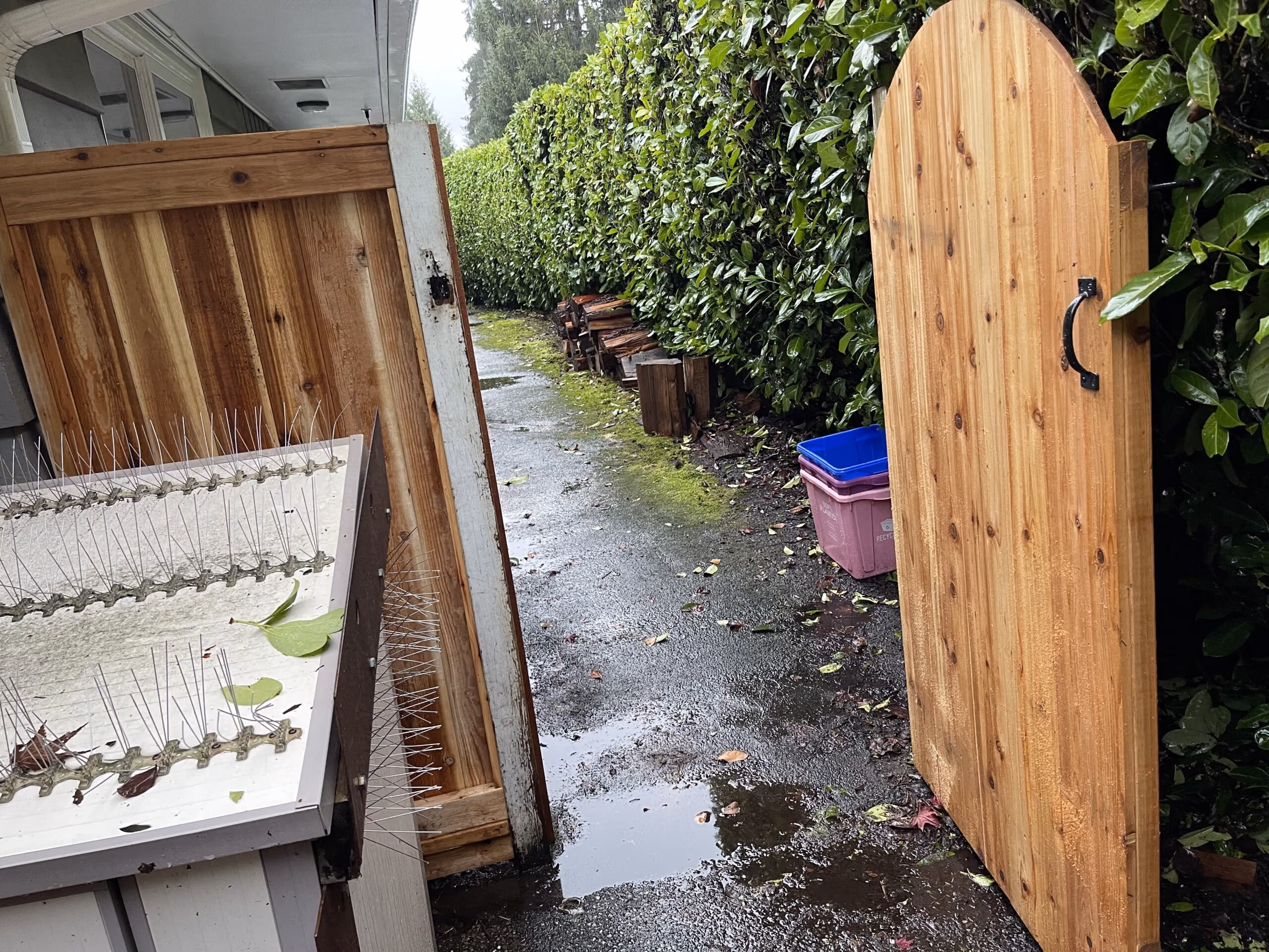 Cedar Garden Gate and Fence Panel Replacement In West Vancouver