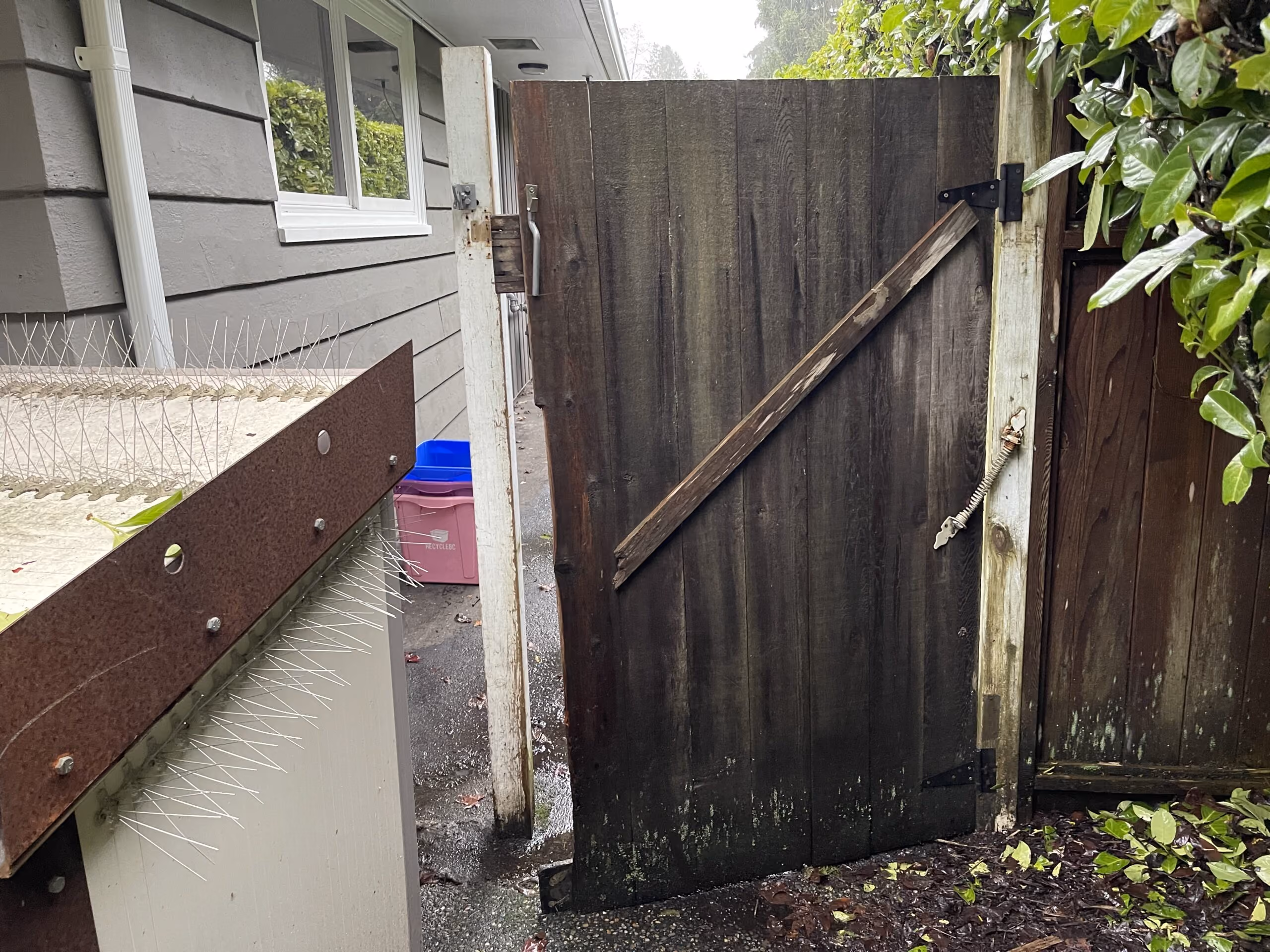 Cedar Garden Gate and Fence Panel Replacement In West Vancouver