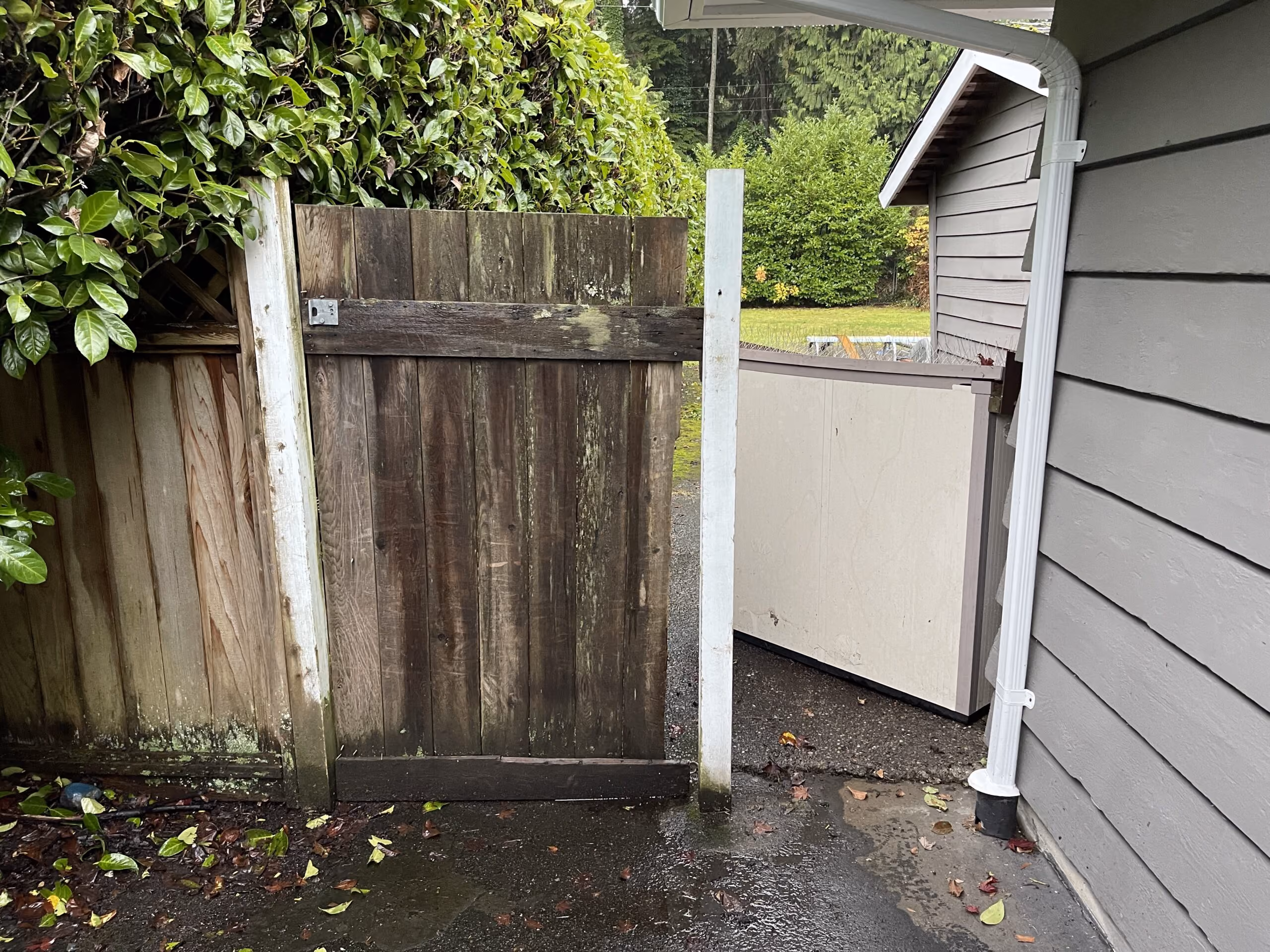 Cedar Garden Gate and Fence Panel Replacement In West Vancouver