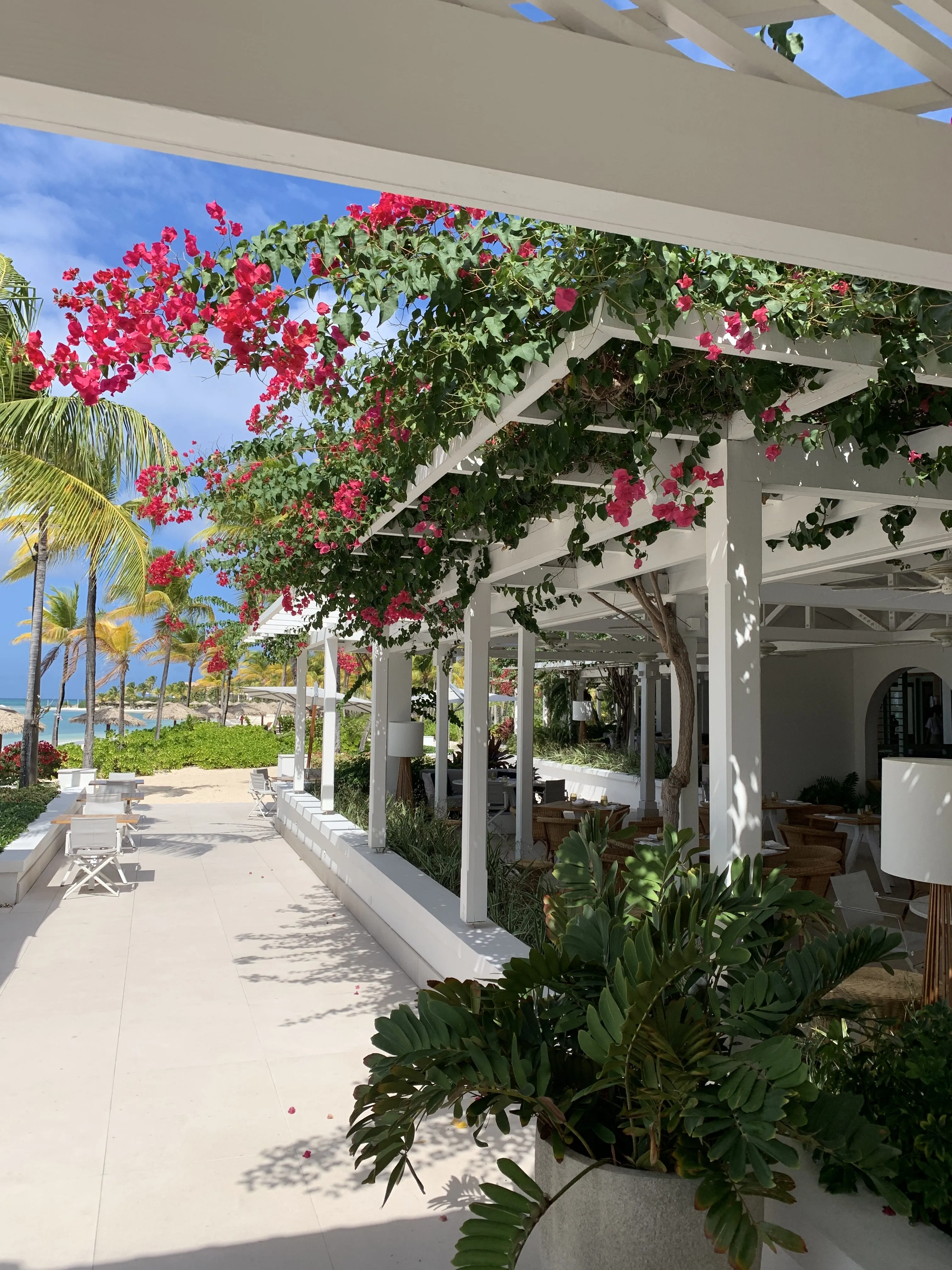 Caribbean