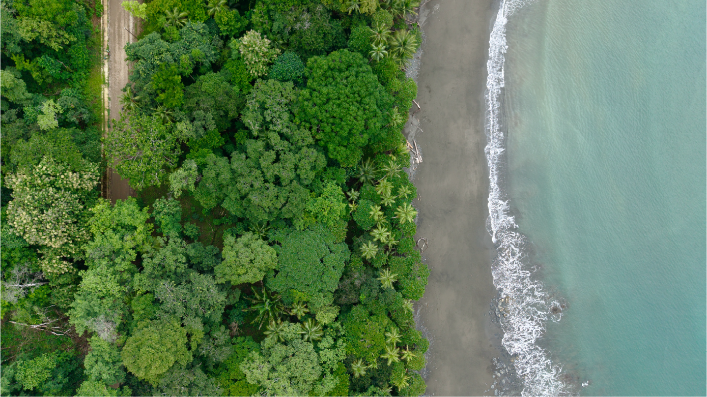 Coast-beach