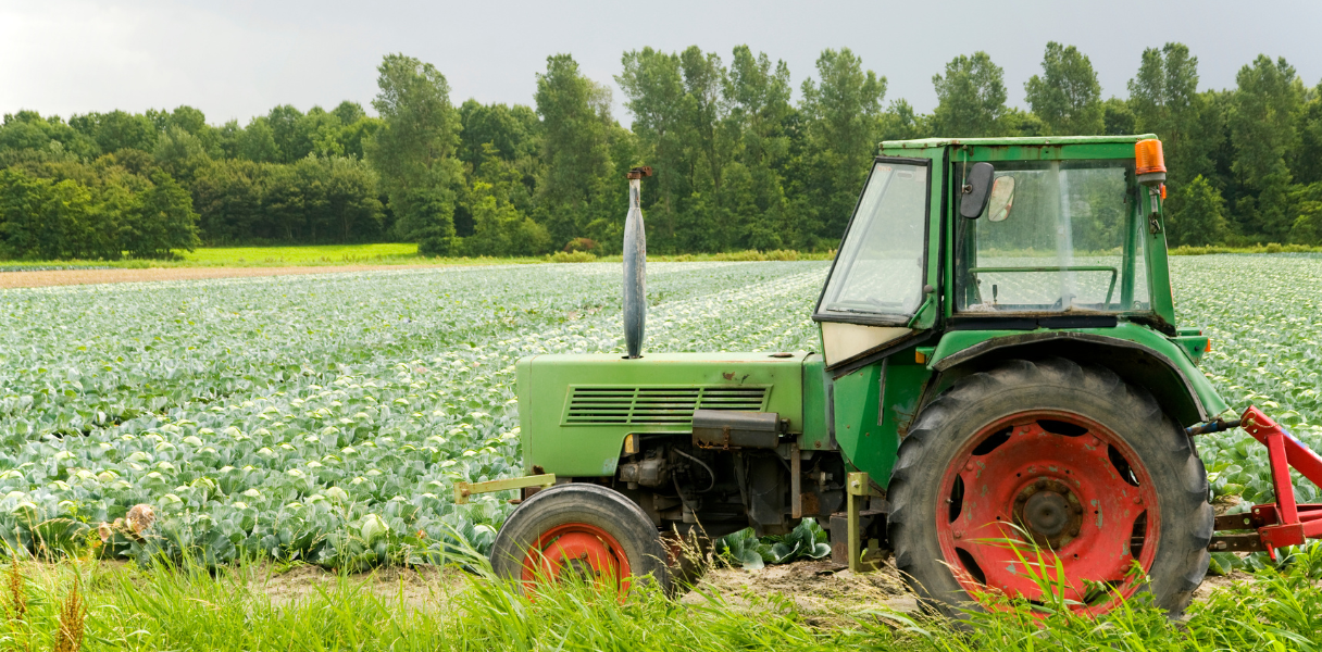Green tractor in a crop field