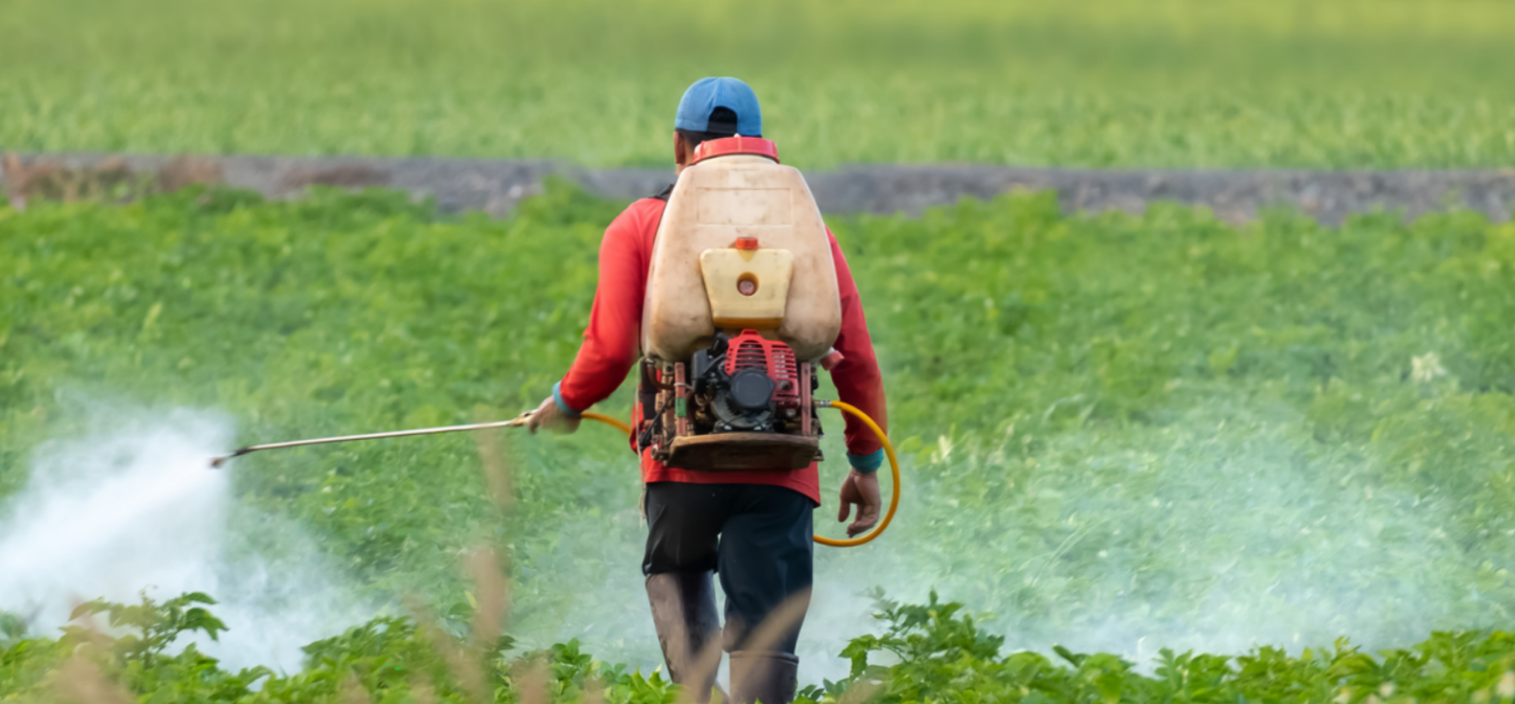 Worker using a backpack sprayer in a crop field