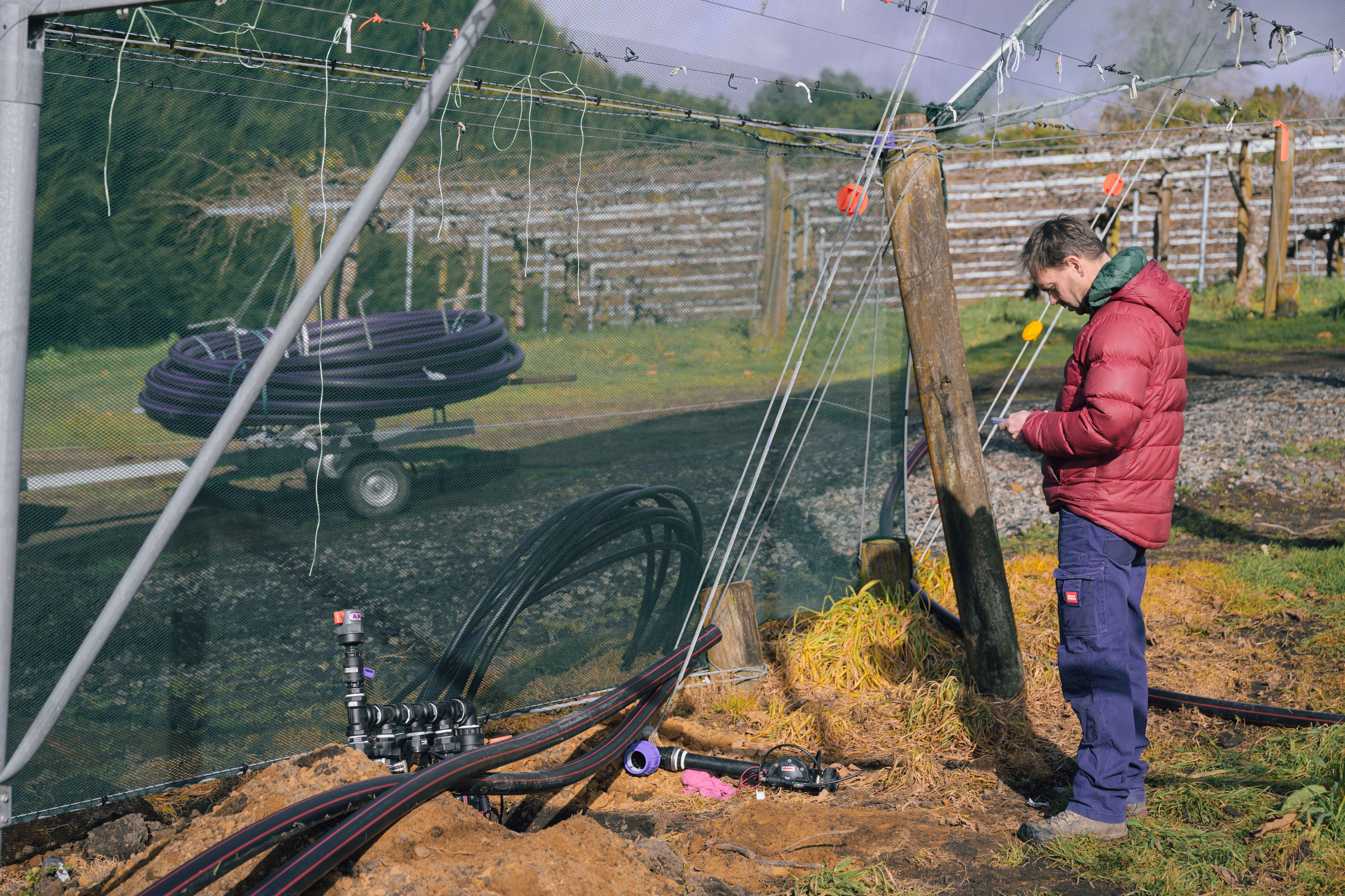 Worker checking equipment beside orchard vines