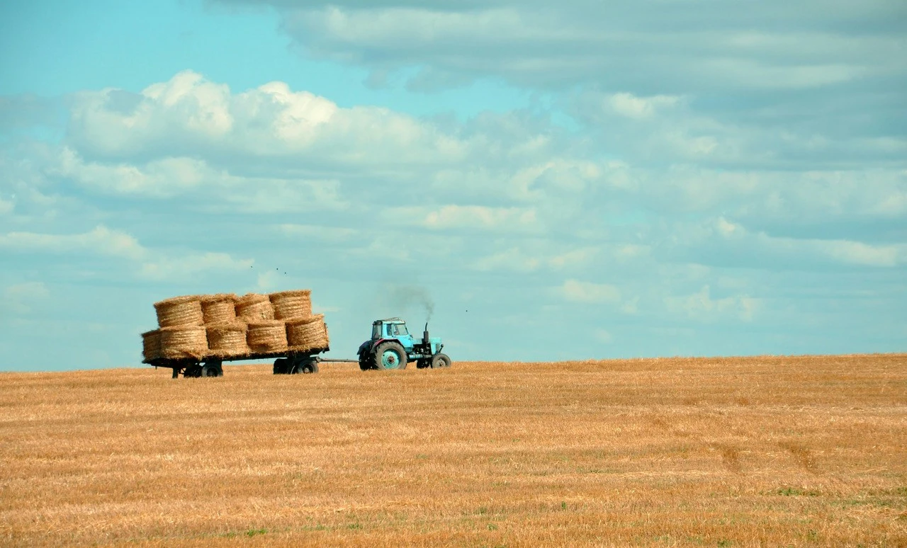 Tractor carrying hay bales across a harvested field