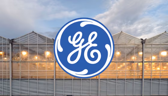 A Global Digital Platform Connects the Lighting Community