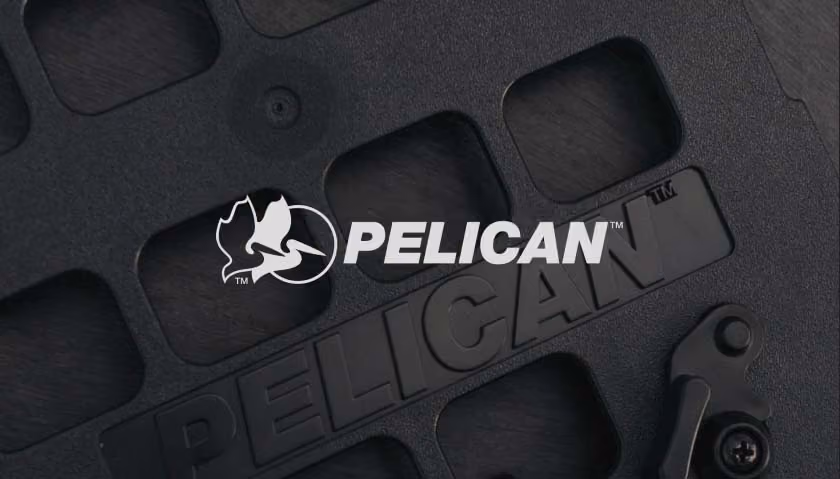 Pelican Increased Conversion 20%+ on Shopify Without Disrupting SAP ERP