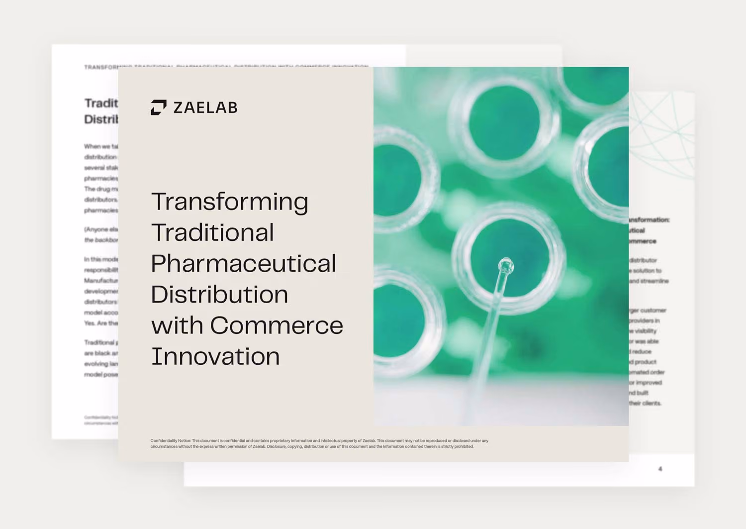 zaelab white paper