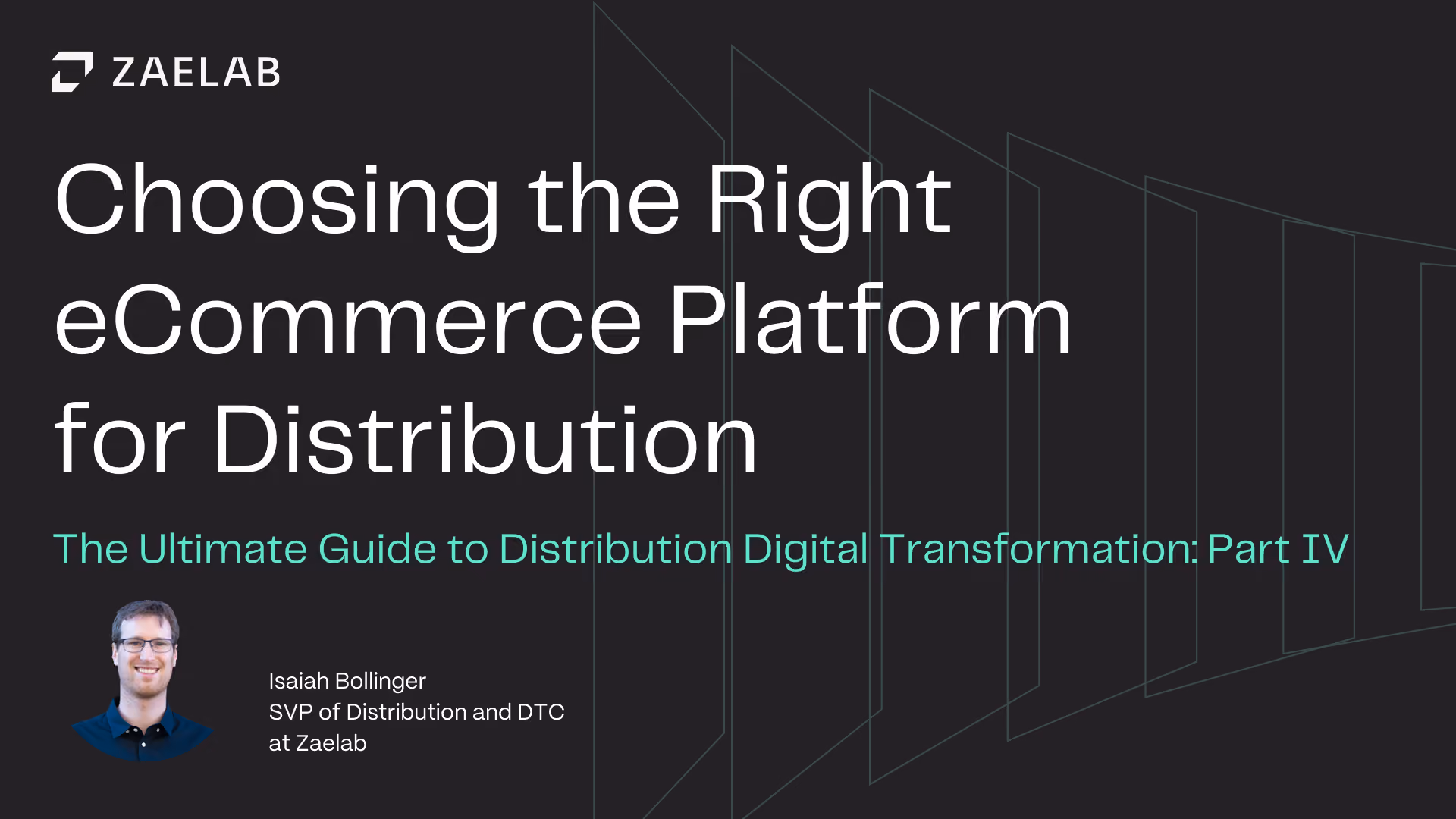 Choosing the Right eCommerce Platform for Distribution