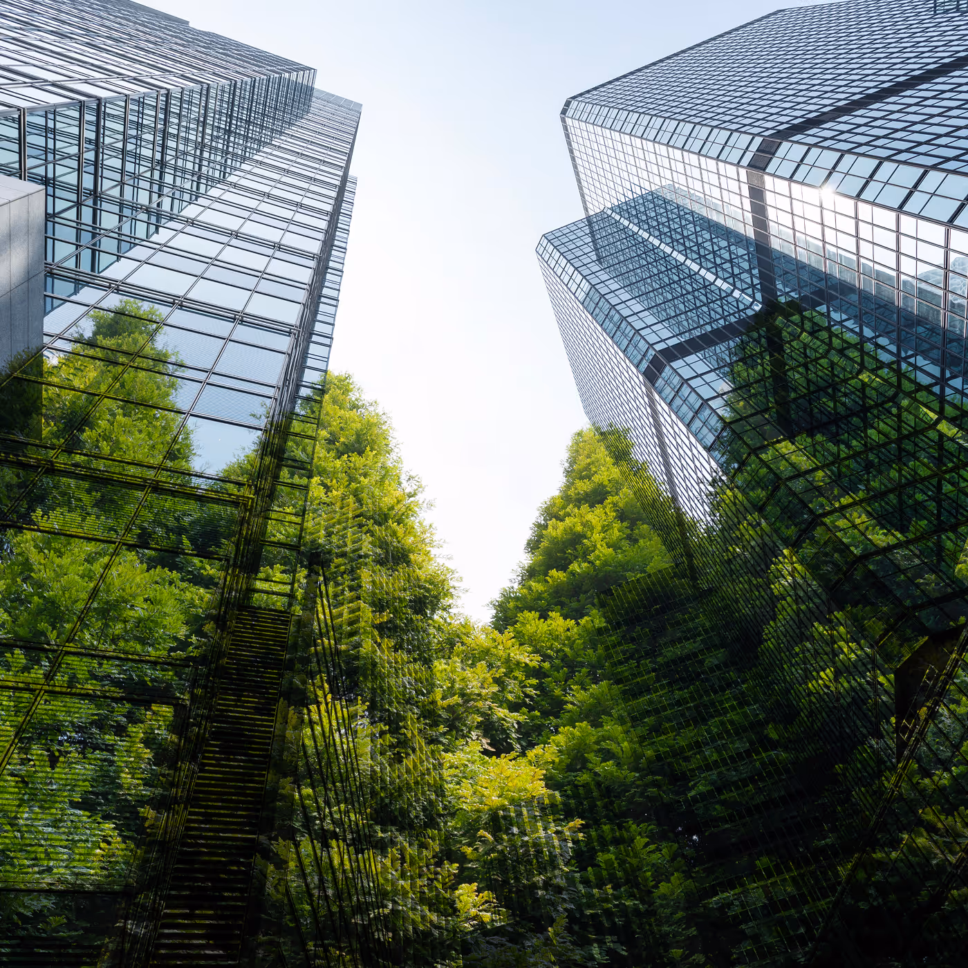 Upward view of two glass office towers framed by green trees against a clear sky