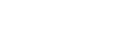 Nexl logo, a hydro.website webflow client