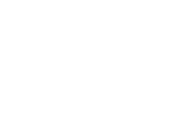 Black & White Bridging logo, a hydro.website webflow client