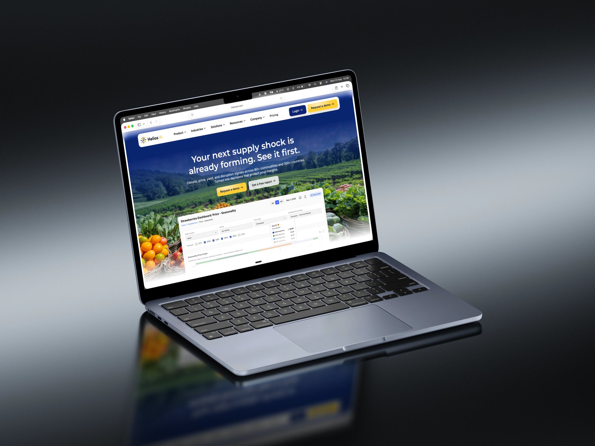 hydro.website premium webflow partner schema markup