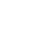 The Street Food Company logo, a hydro.website webflow client