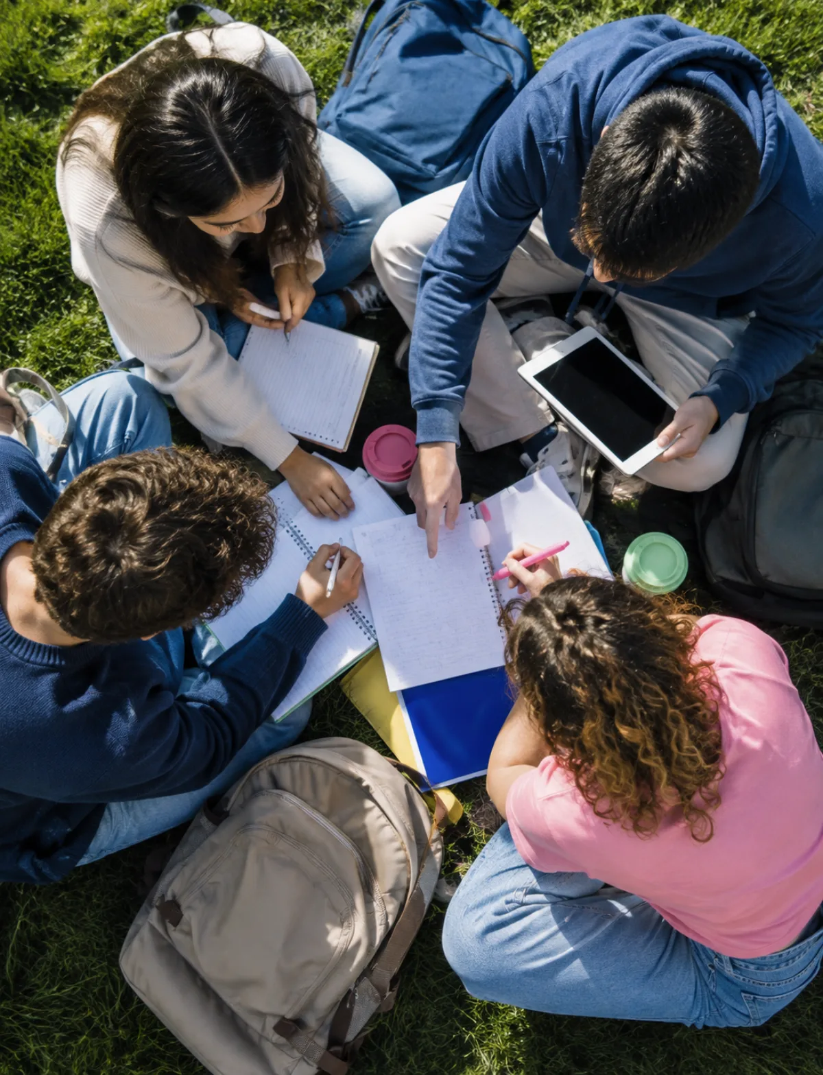 College students studying together outdoors