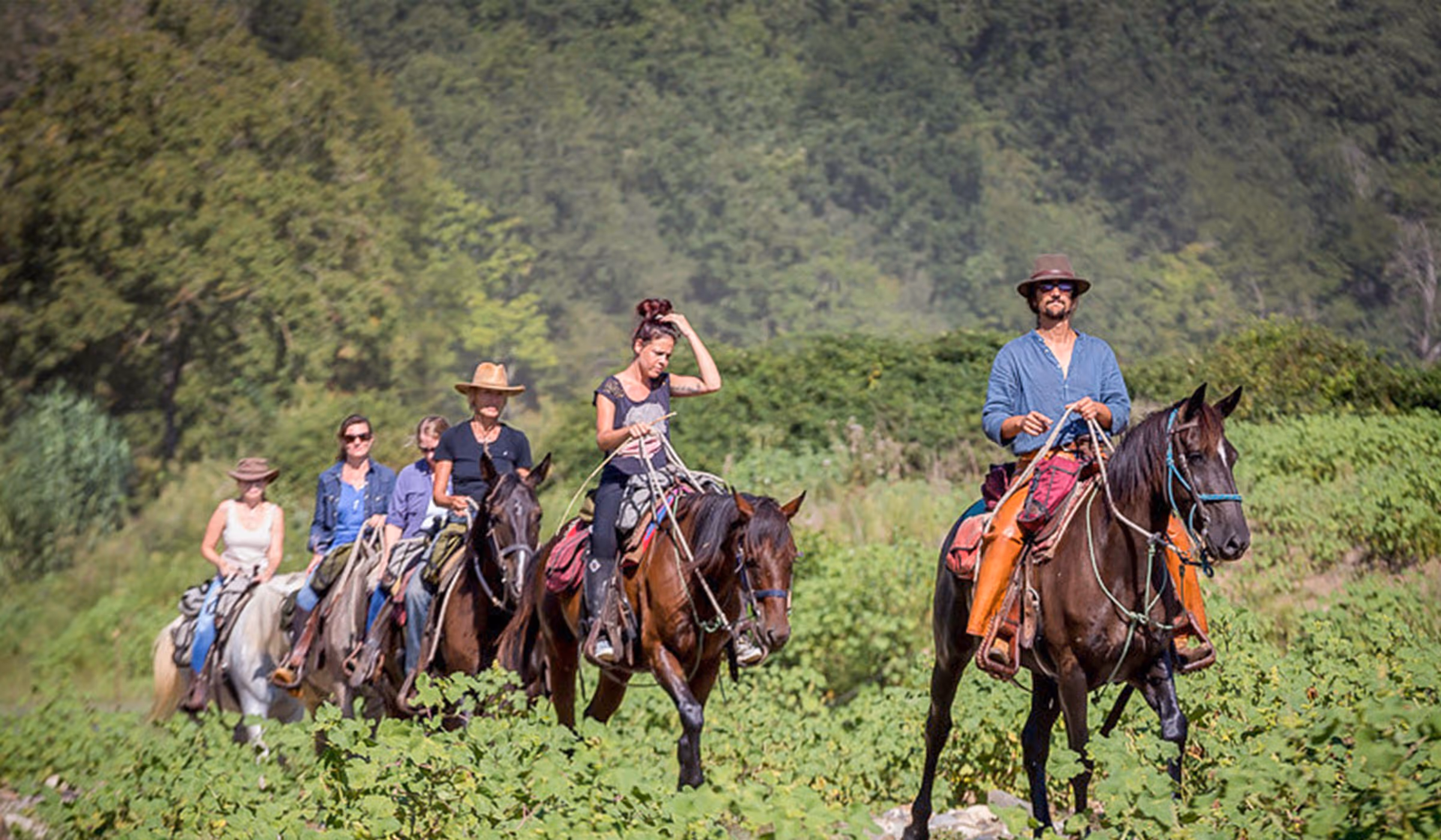 Eine Gruppe von Reitern und ihr Guide reiten auf einem Waldweg durch die italienische Landschaft.