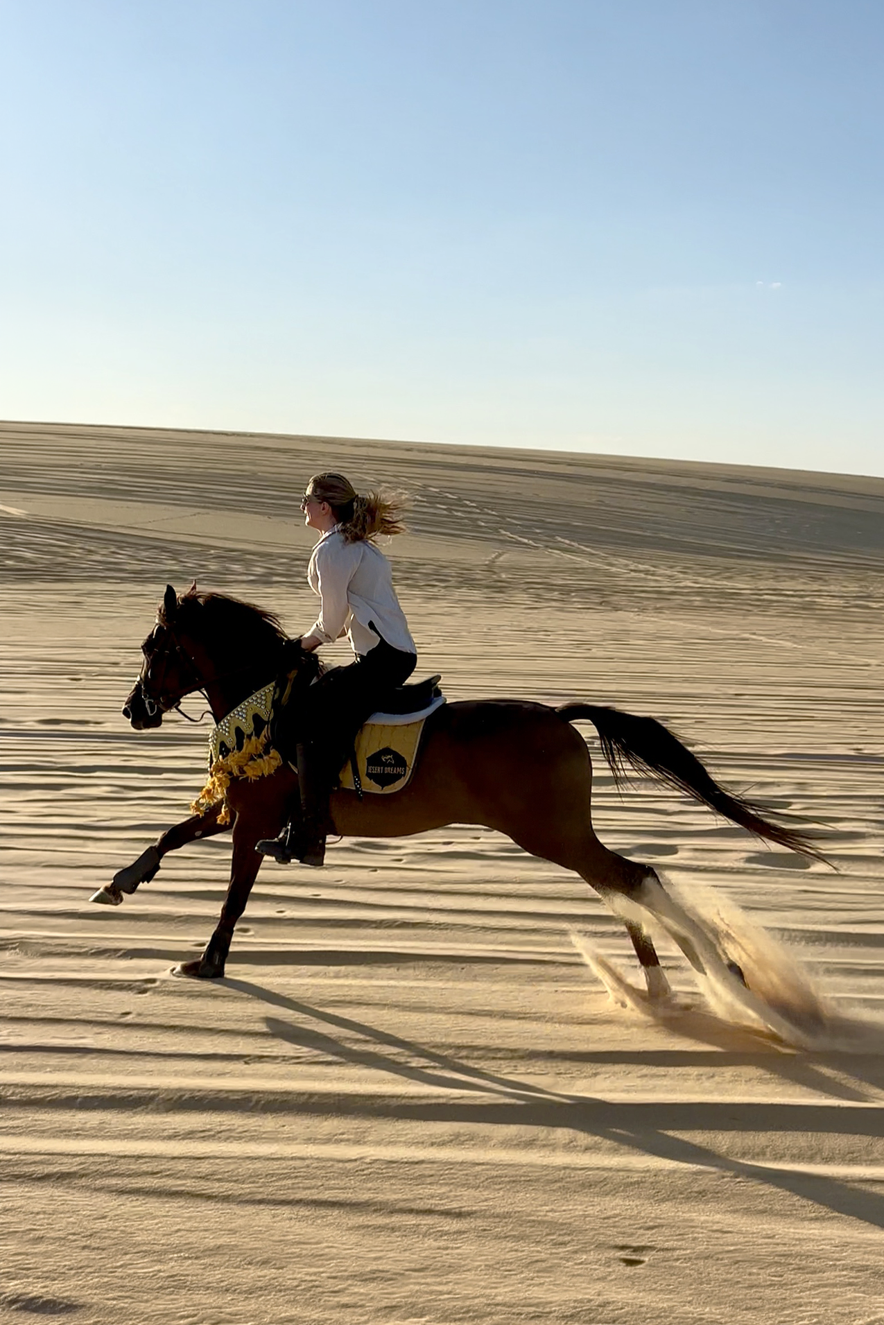 Eine Reiterin galoppiert mit ihrem Pferd über eine Sanddüne in der Wüste.