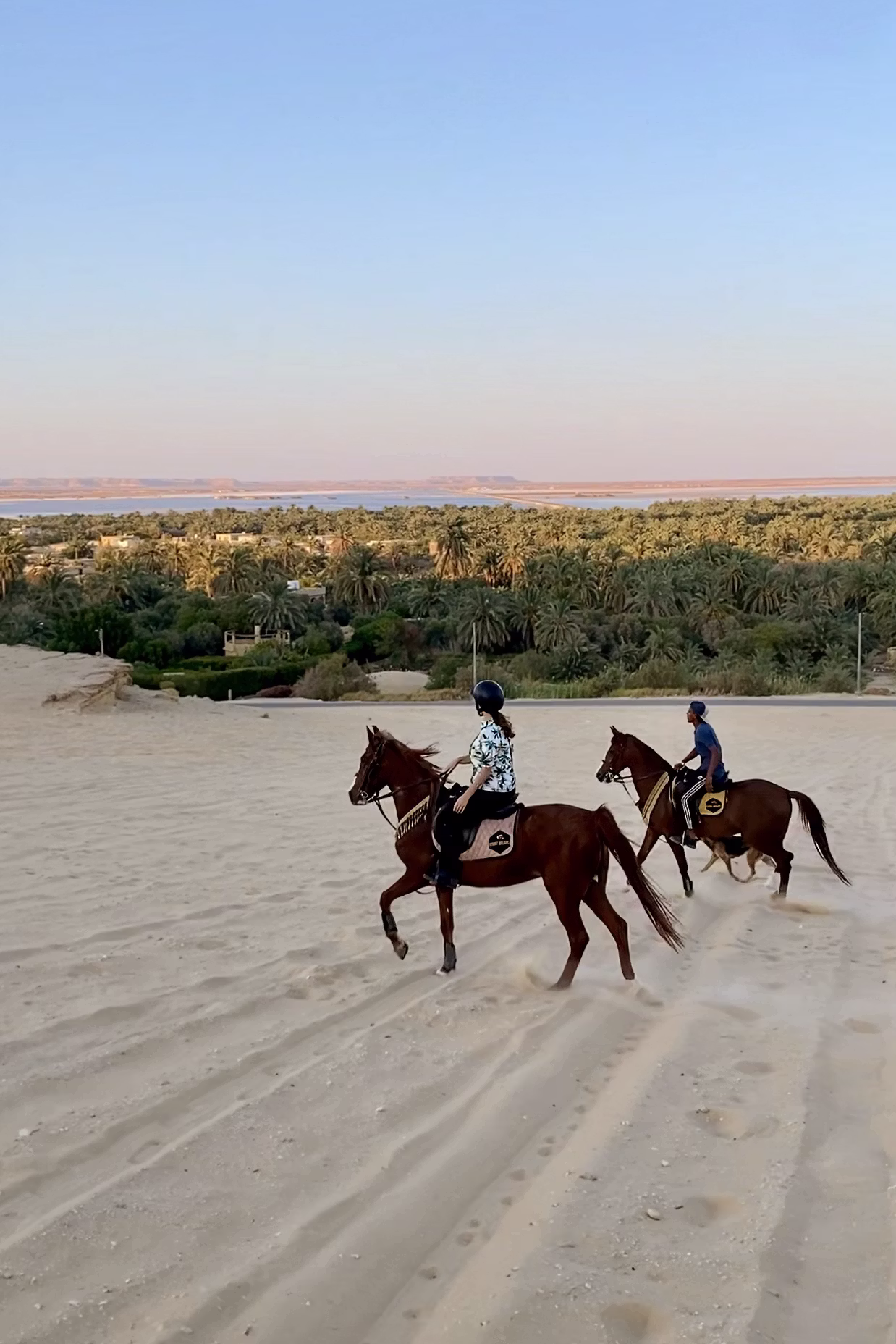 Zwei Reiter reiten eine Sanddüne hinab, mit einer grünen Oase im Hintergrund.