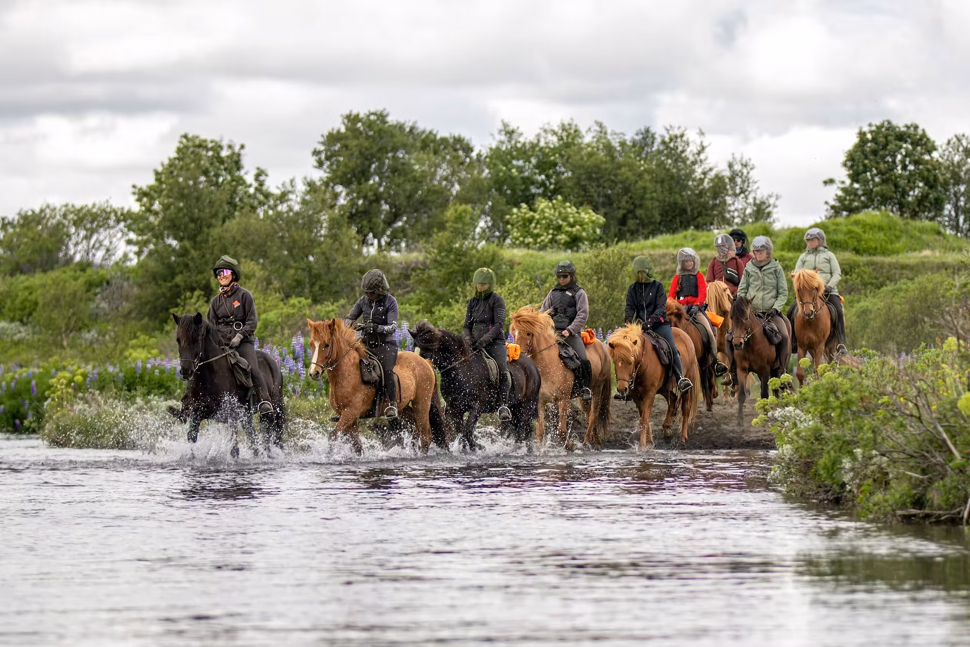 Eine Gruppe von Reitern durchquert mit einer Herde frei laufender Pferde einen Fluss.
