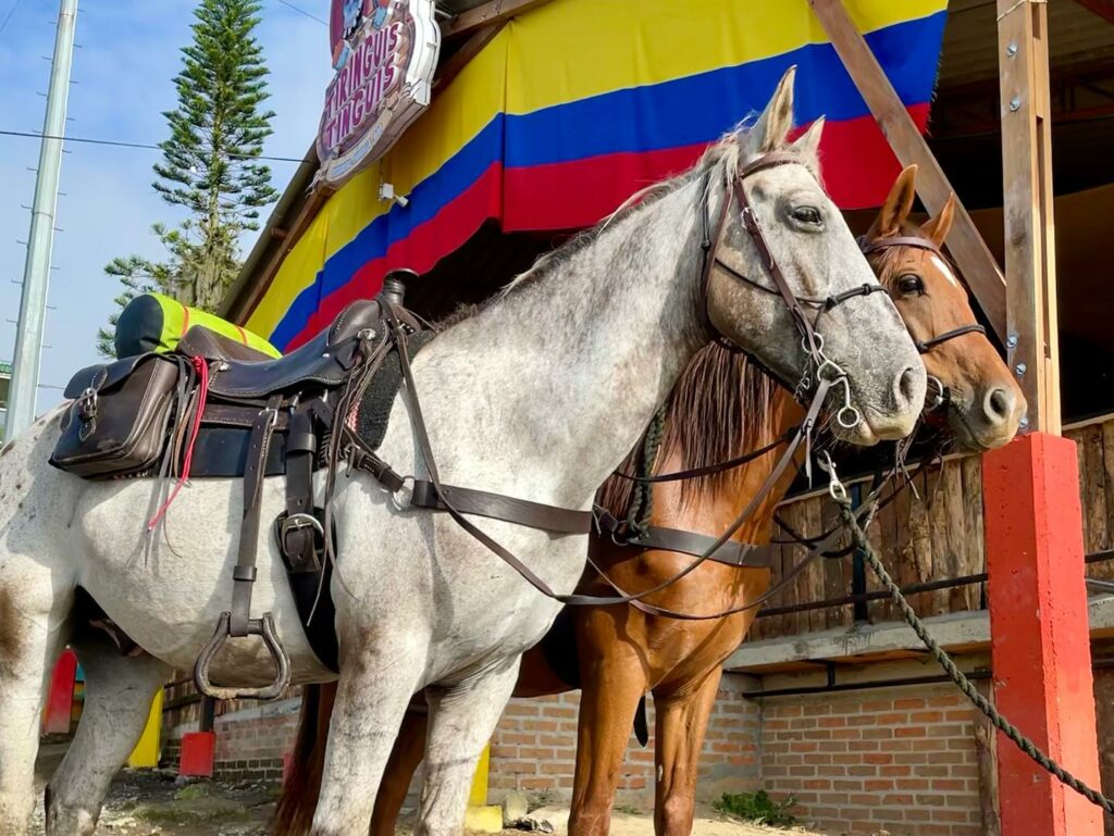 Spanisches Sattelzeug beim Wanderreiten
