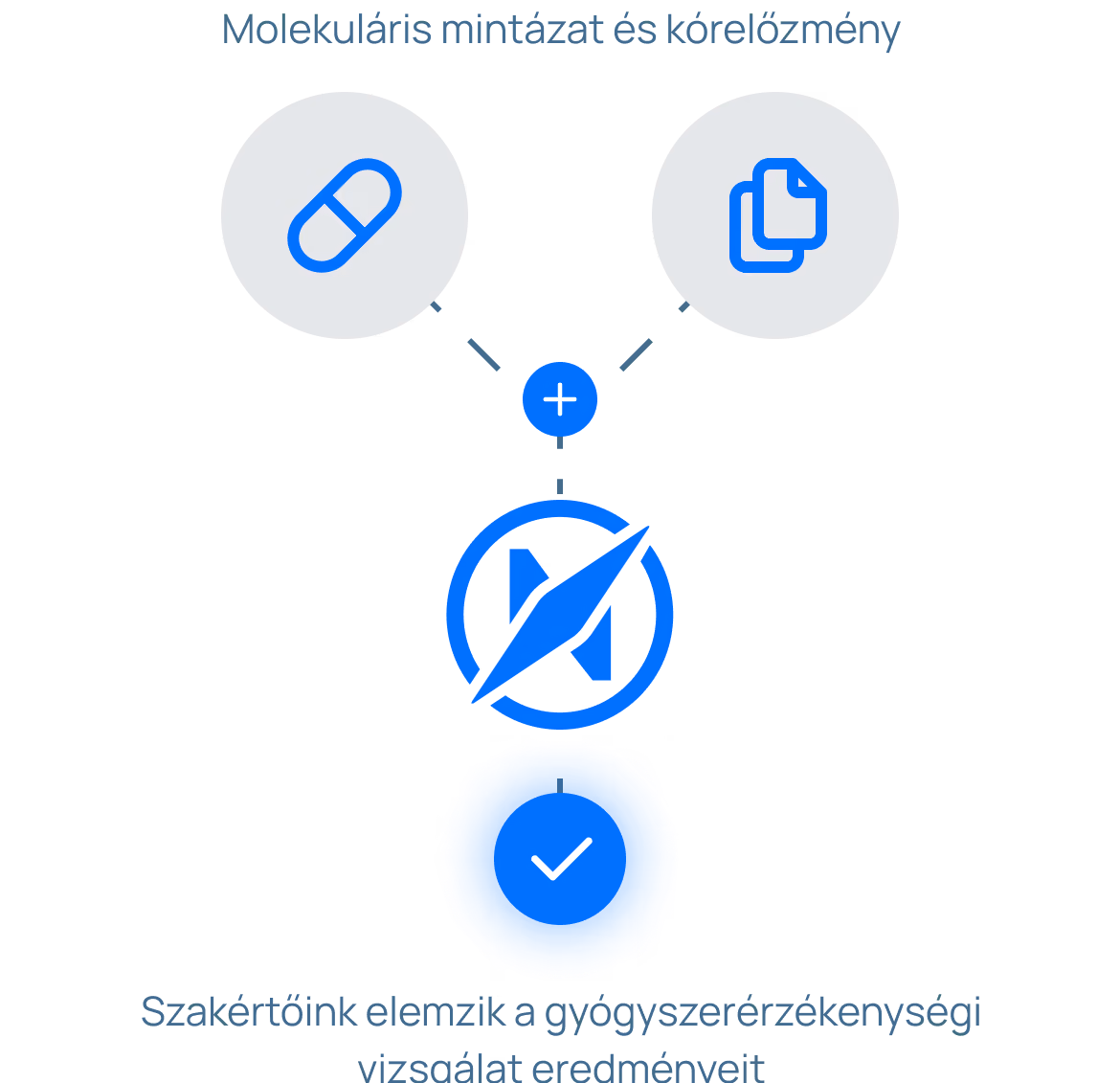 Diagram titled 'Pattern and medical history' showing two icons connected to a compass icon with a plus sign. The left icon is a pill, the right icon is two stacked documents, and below the compass is a blue circle with a check mark. Text below reads 'Our experts analyze the drug reaction.'