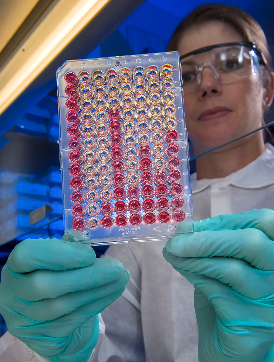 Scientist wearing safety glasses and green gloves holding a clear 96-well plate with pink liquid in a laboratory setting.