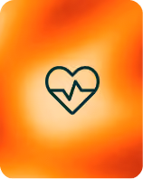 VED website image