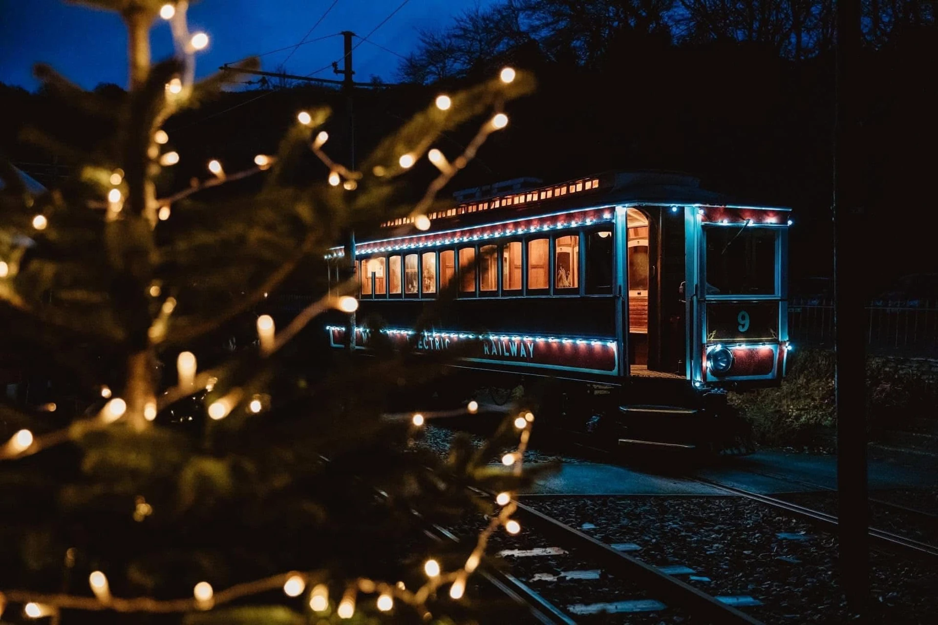 Festive community gathering at Zen at the Glen