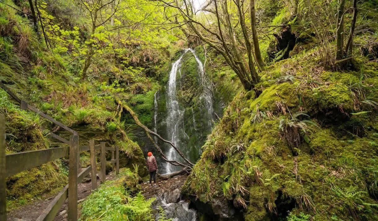 Waterfall surrounded by green woodland in Dhoon Glen