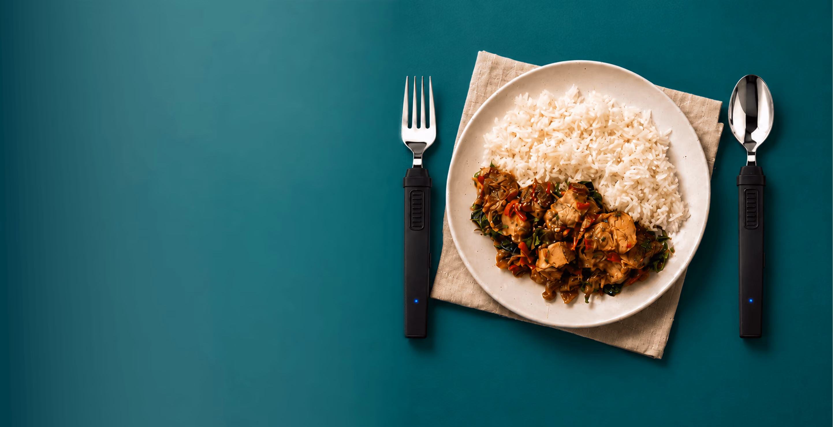 BiteQ fork and spoon beside a plate of rice and curry