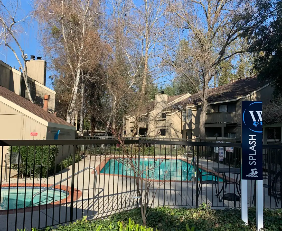 Pool and spa