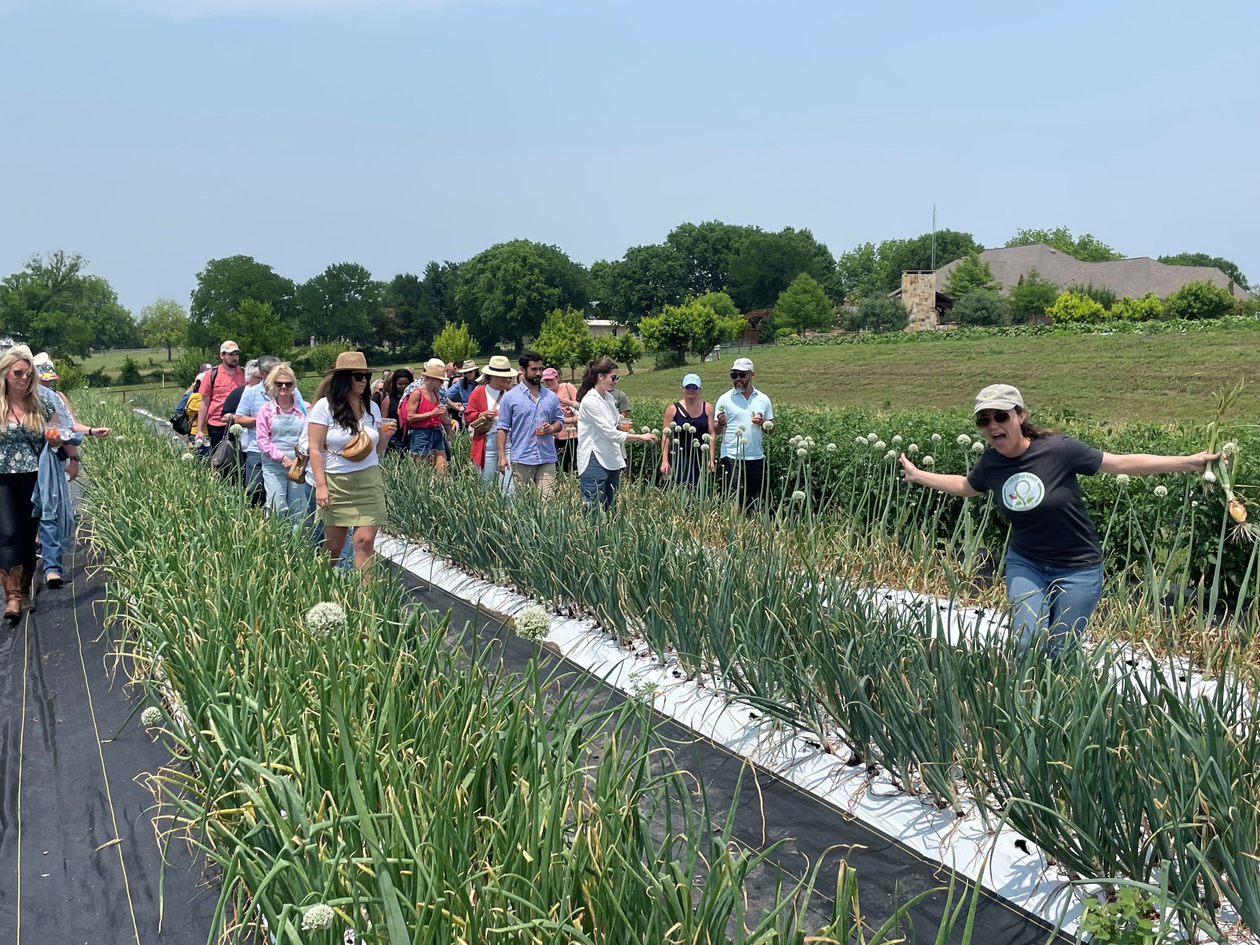 Visitors walking the onion rows on a farm tour at Pure Land Farm in McKinney, Texas