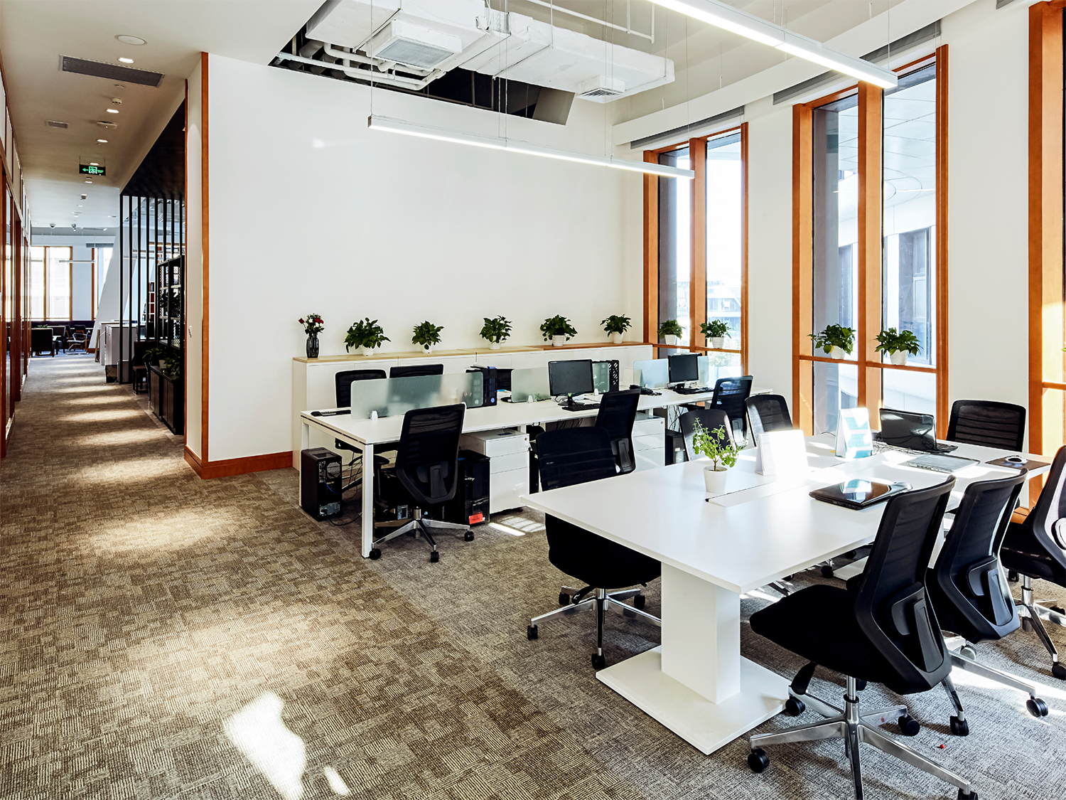 Modern office space with white desks arranged in clusters, black office chairs, desktop computers, laptops, and green potted plants on desks and windowsills, illuminated by natural light from large windows and hanging ceiling lights.