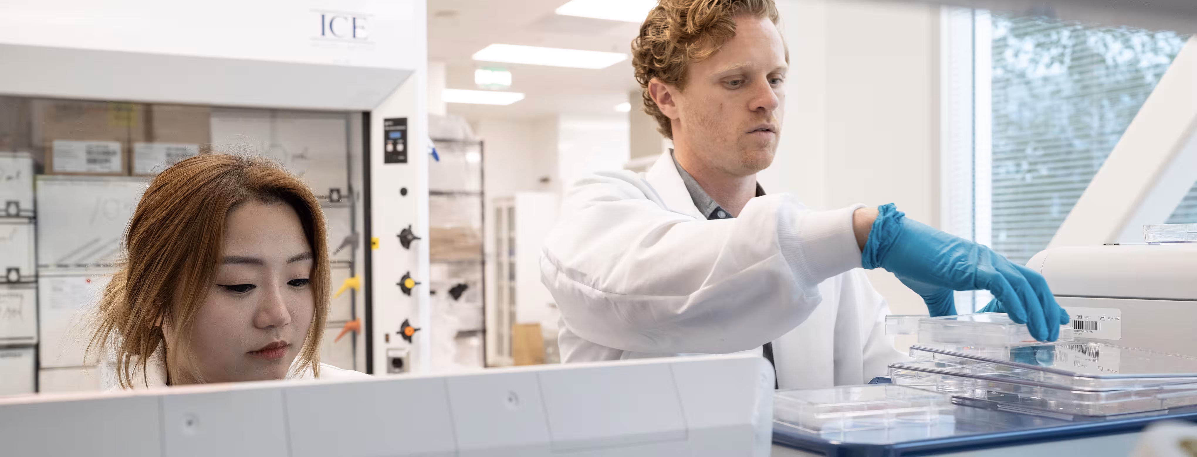 Two scientists in a laboratory: a woman looking down and a man wearing blue gloves handling lab trays near scientific equipment.
