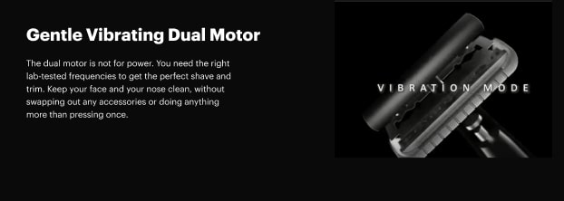 vibrating dual motor