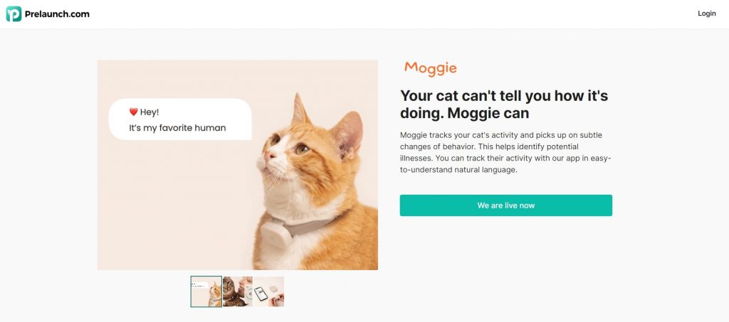 Catchy Title Landing Page