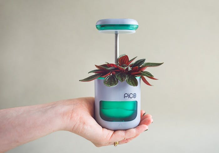 Pico Launch Sample