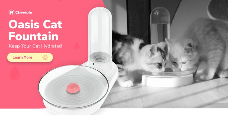 Oasis Cat Fountain Version 