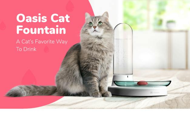 Oasis Cat Fountain