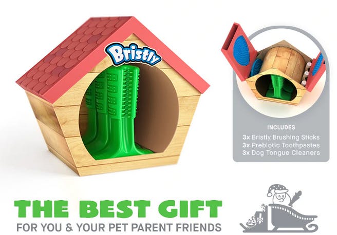 Bristly Dog Toothbrush