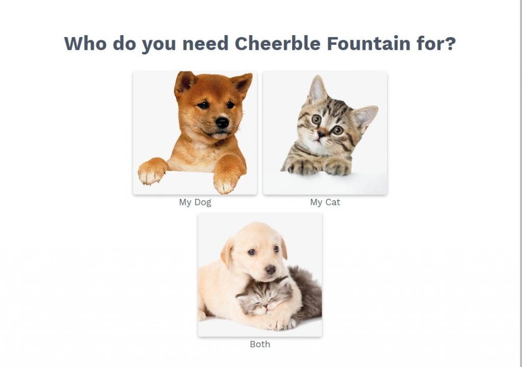 Target Audience Survey