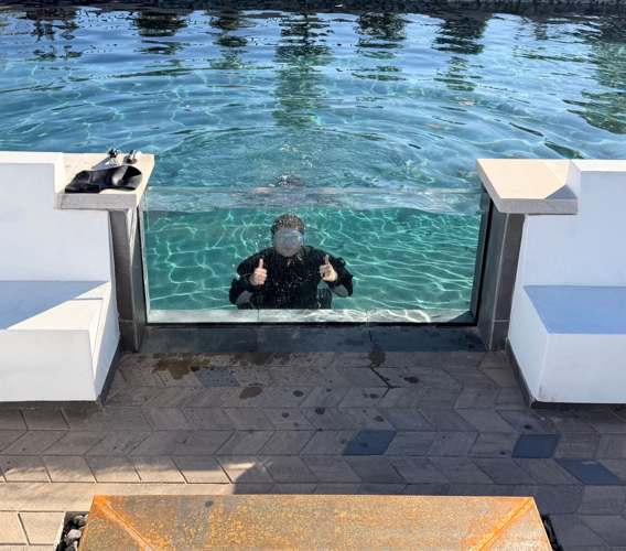 Pool leak detection