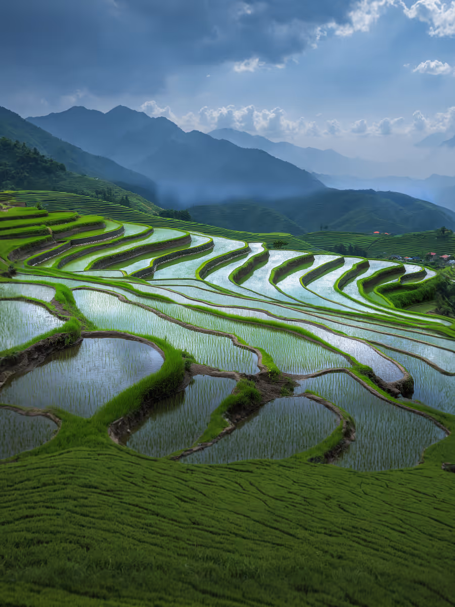 Green terraced rice fields filled with water under a cloudy sky and misty mountain layers.