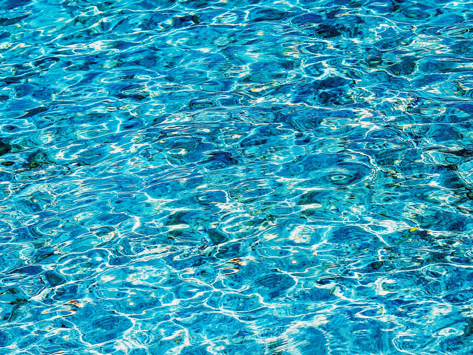 Pool Coping Separation Repair Costs: Fix Gaps Before Deck Damage Spreads