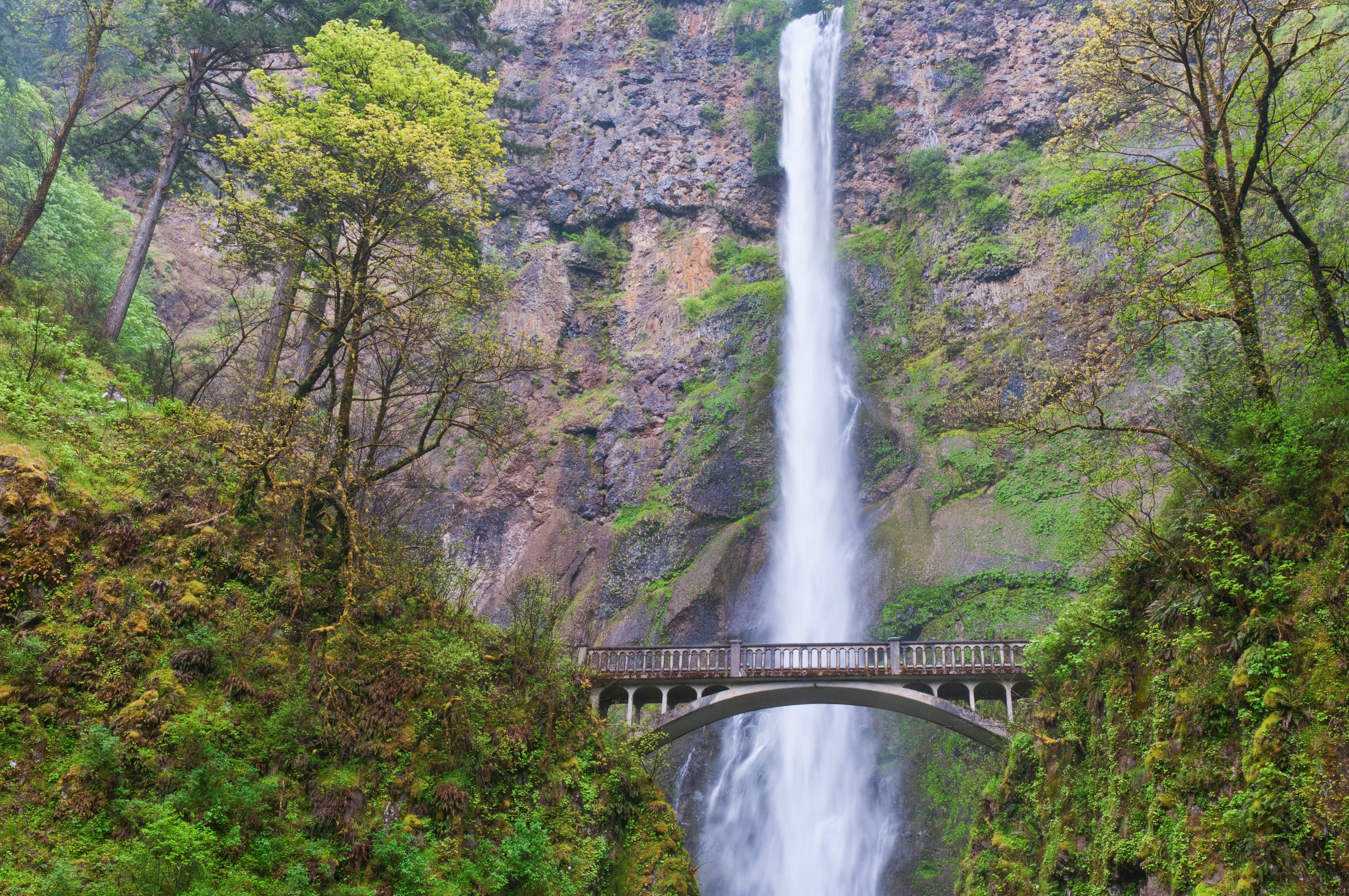 Multnomah falls stock image