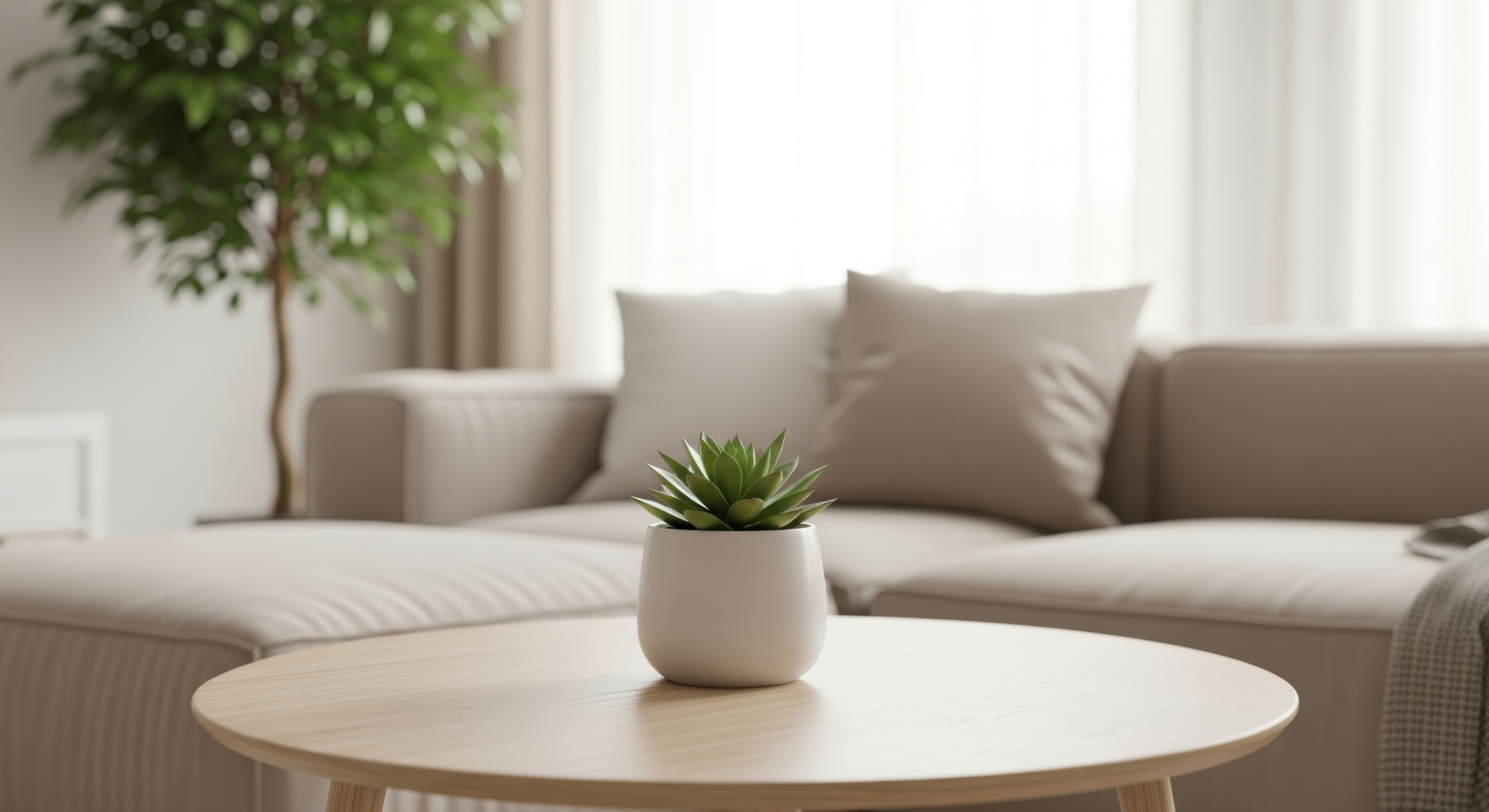 Plant on coffee table stock image