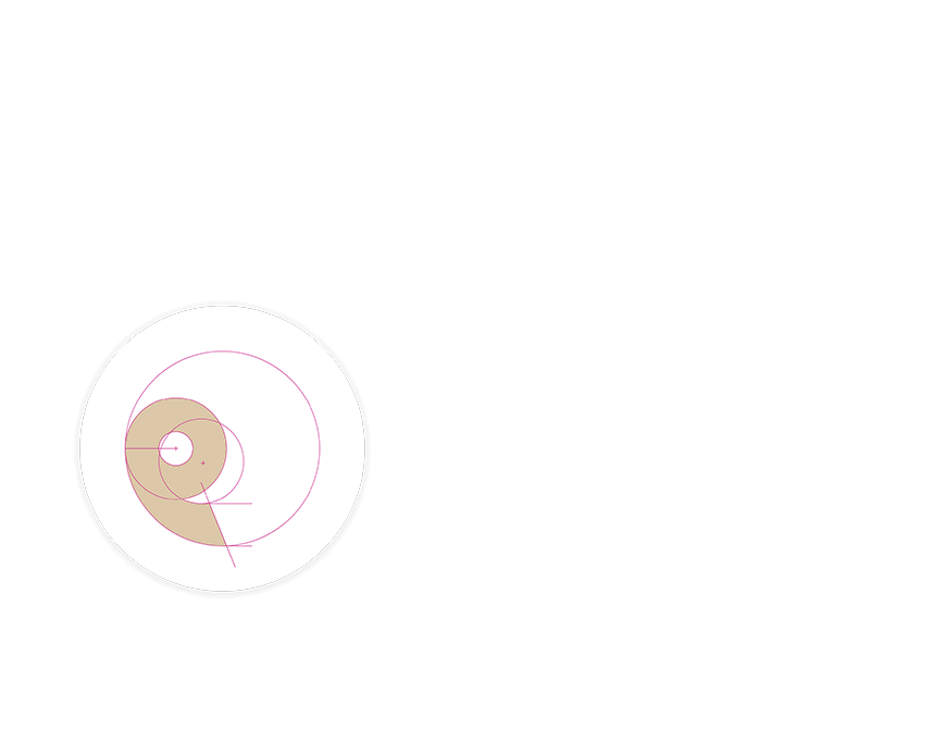 Name of the Project